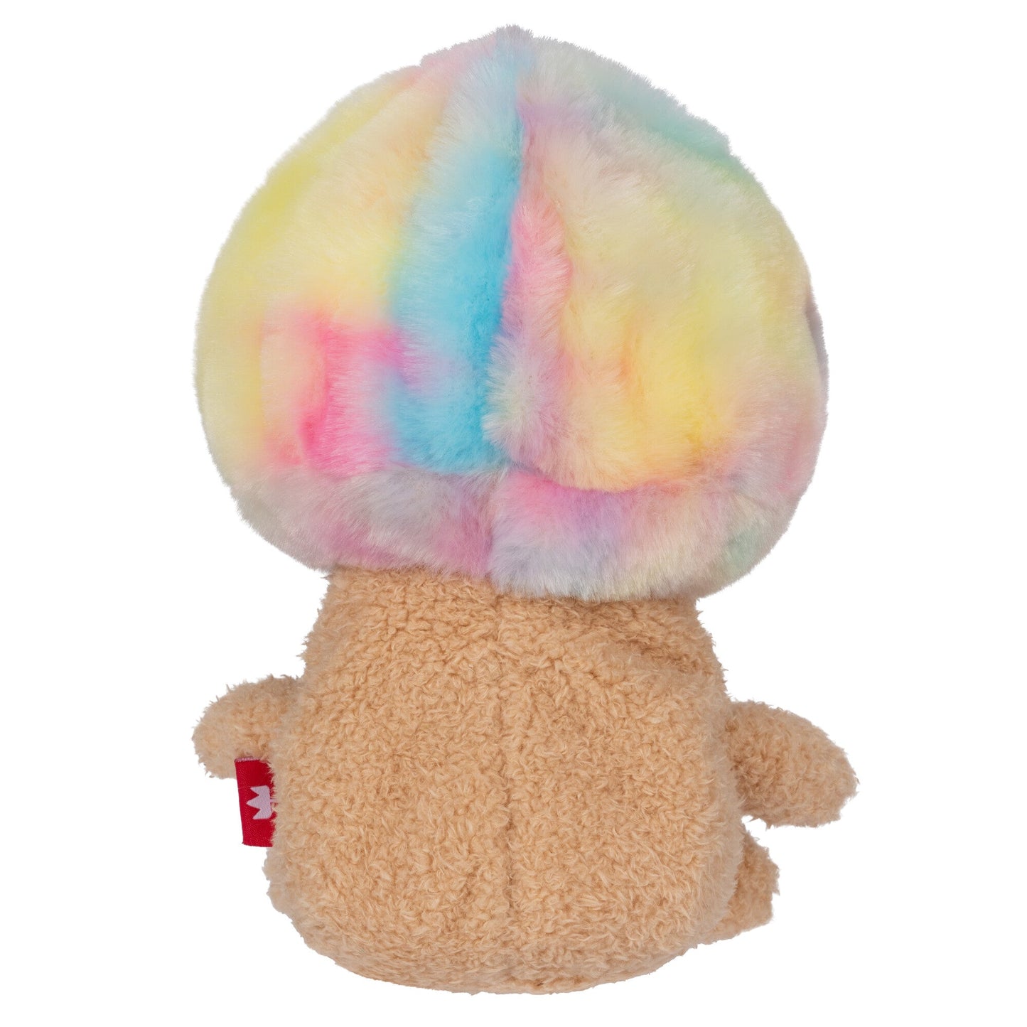 Rainbow Mushroom Mateo