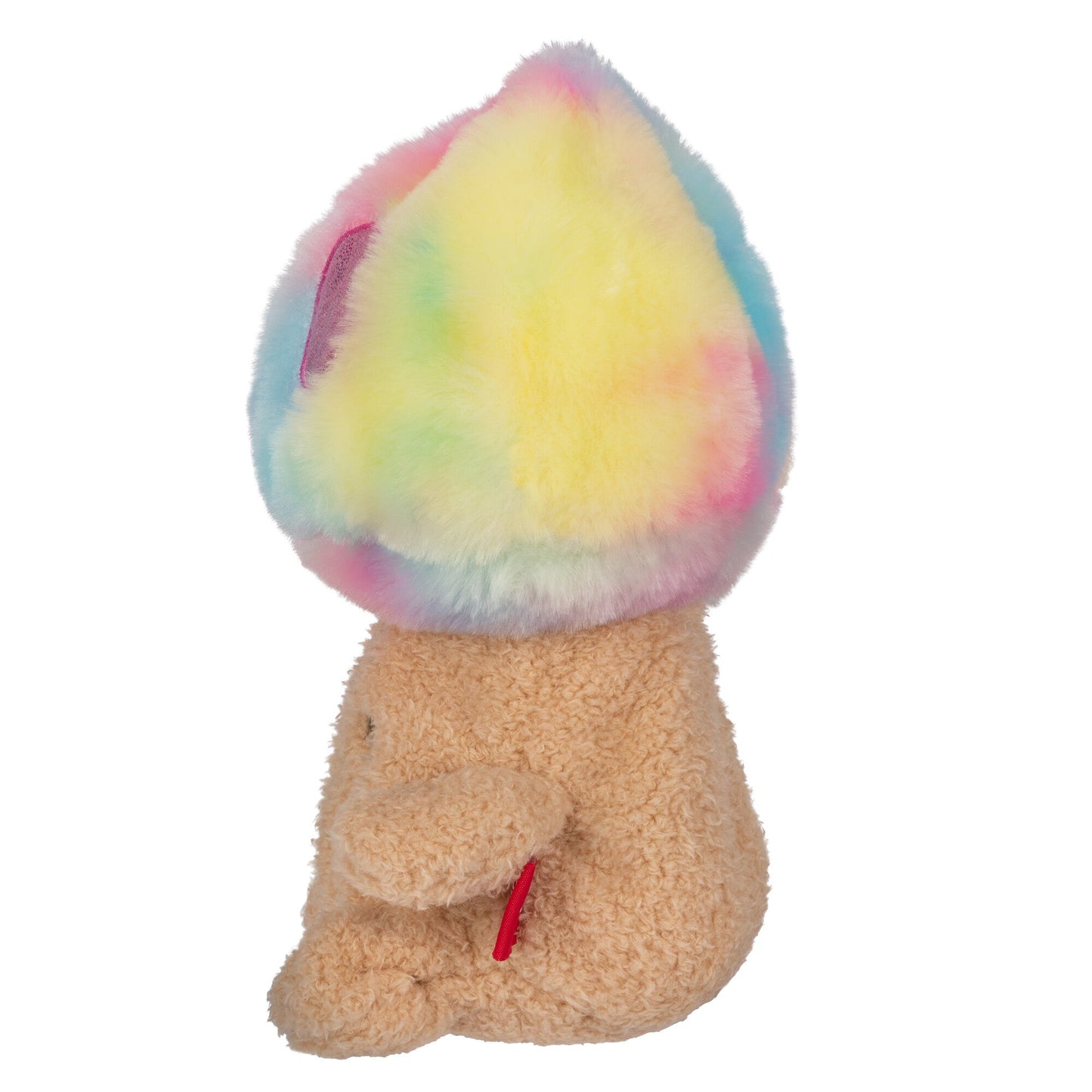 Rainbow Mushroom Mateo