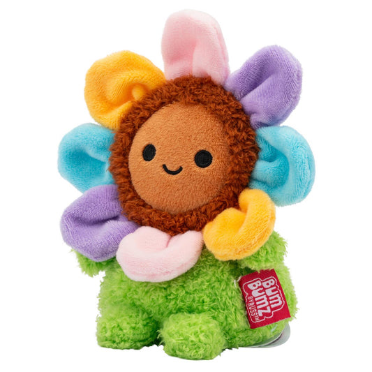 Gerbera Daisy Grayce