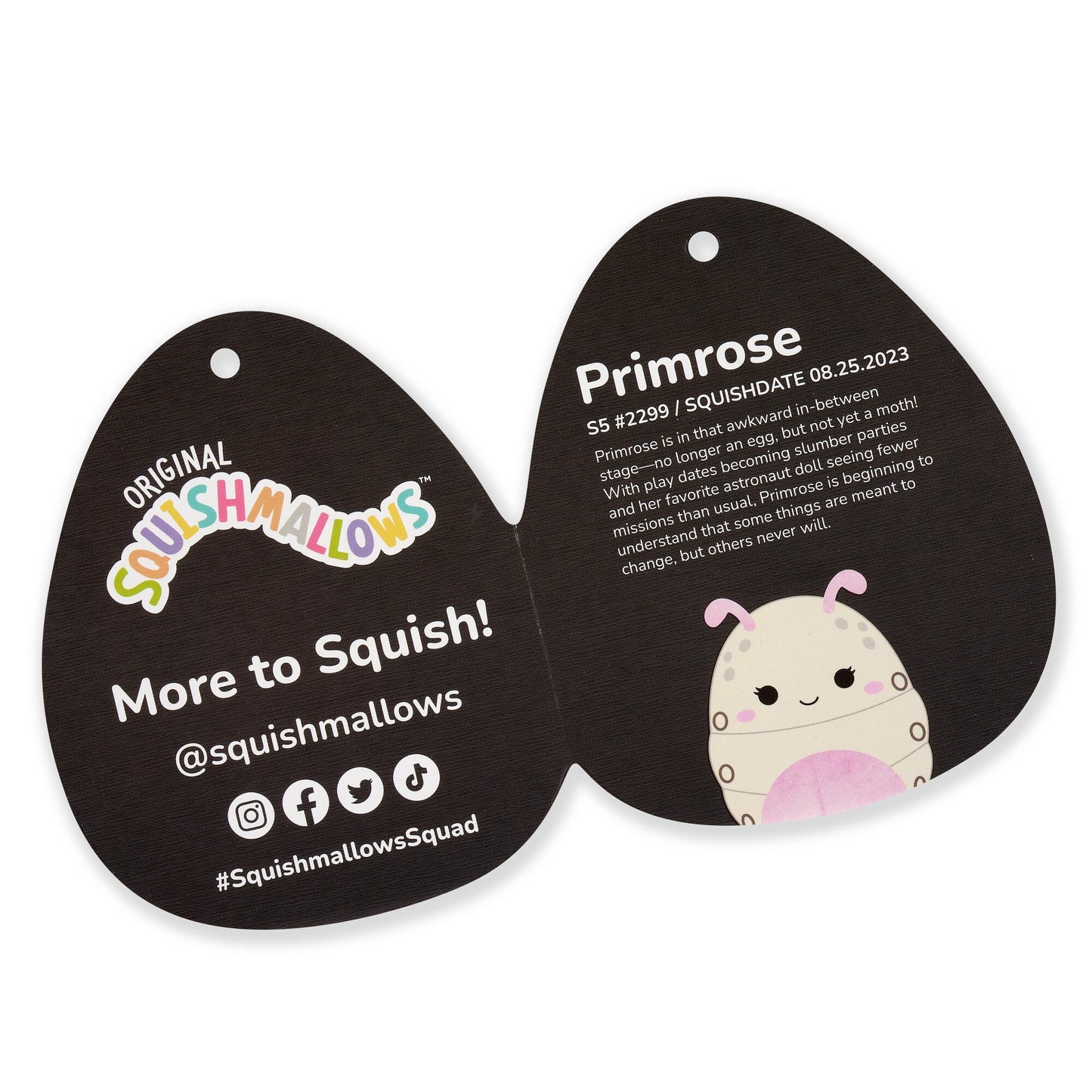 Select Series: 5 Primrose Silkworm & 8 Prior Silk Moth 2-Pack