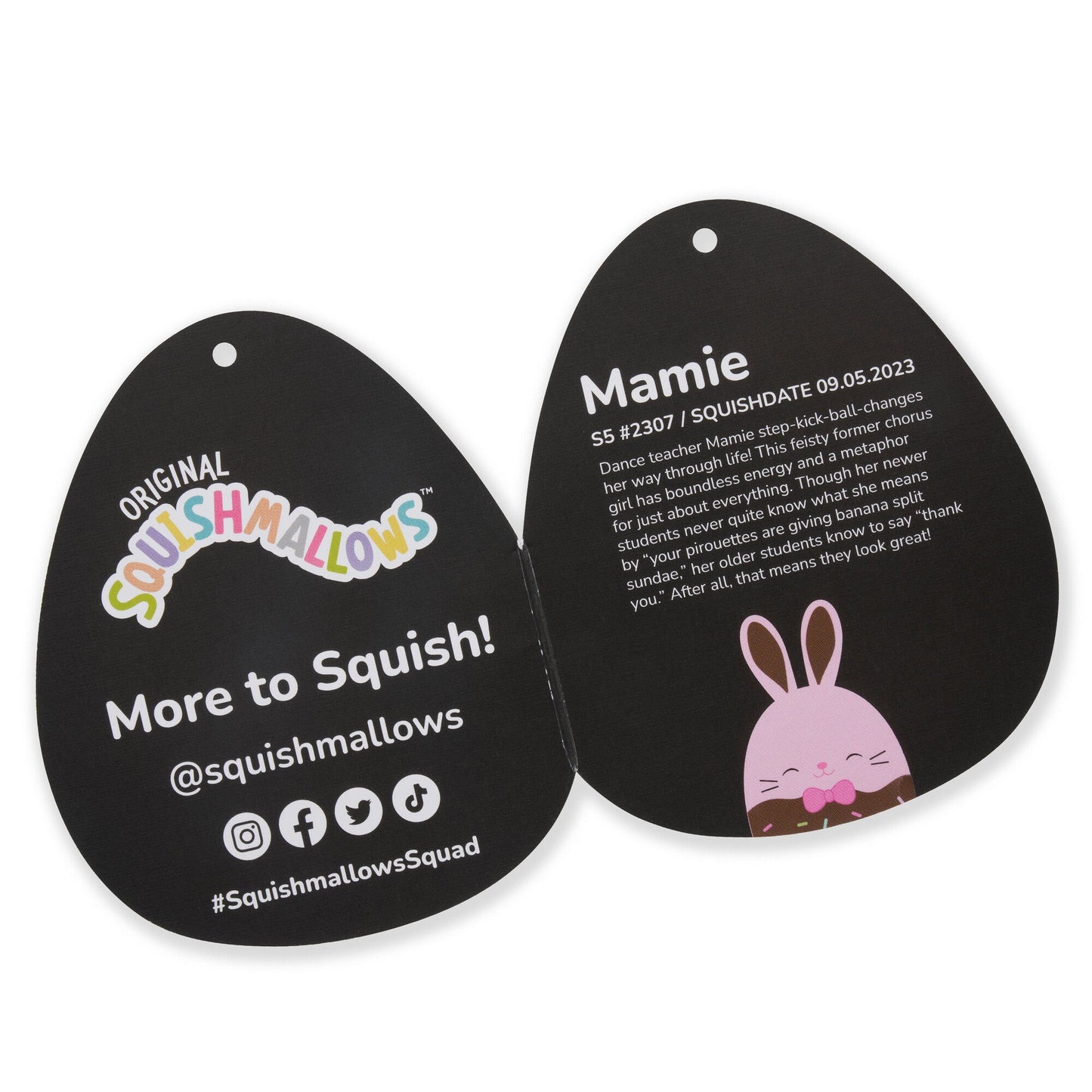 5-Inch Easter Chocolate Bunny 4-Pack