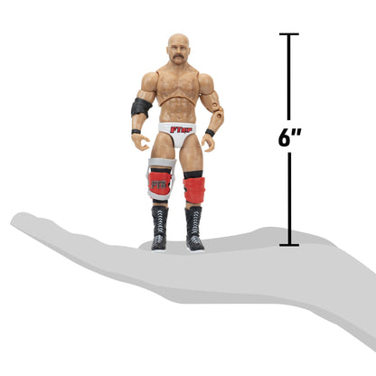 Ring of Honor FTR 2-Pack