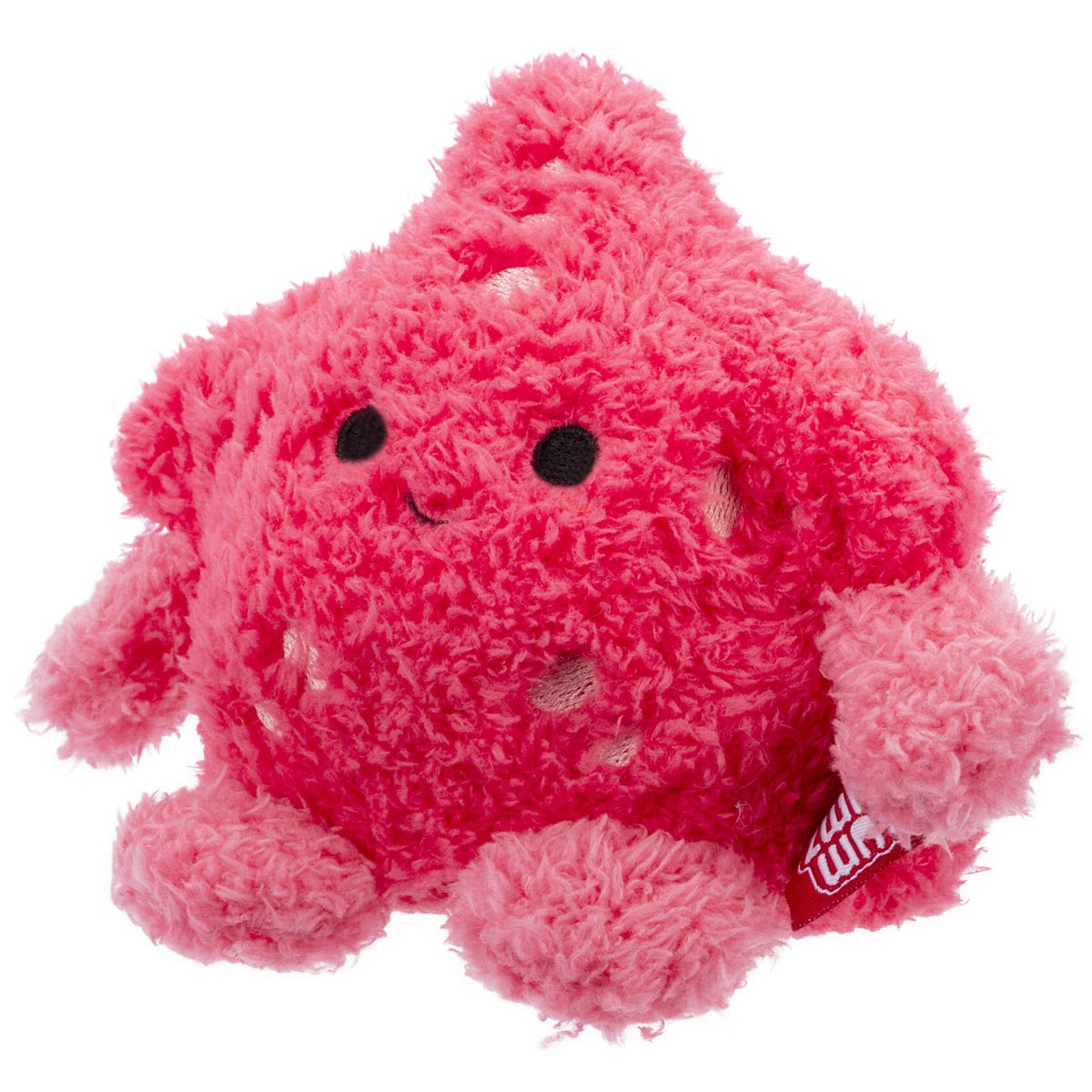 Starfish Sandrine