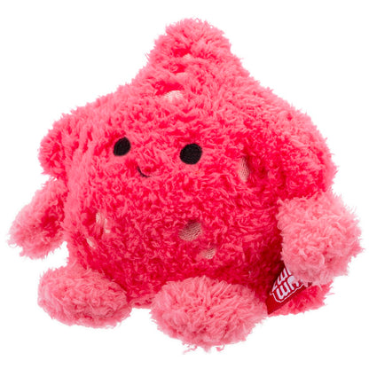 Starfish Sandrine
