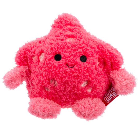 Starfish Sandrine