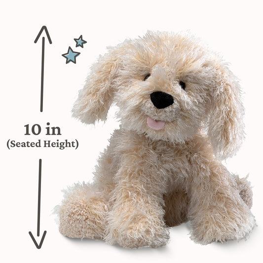 Karina Labradoodle, 10.5 in