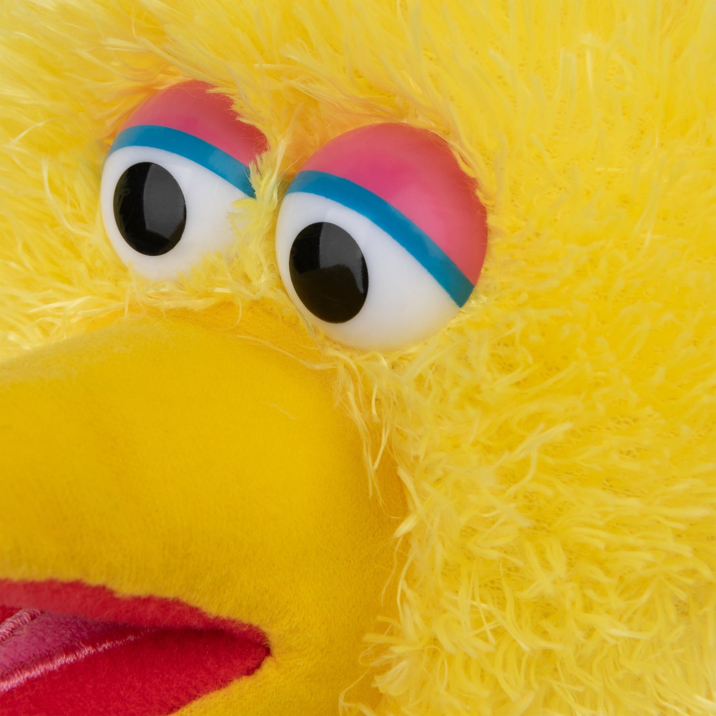 Big Bird, 14 in
